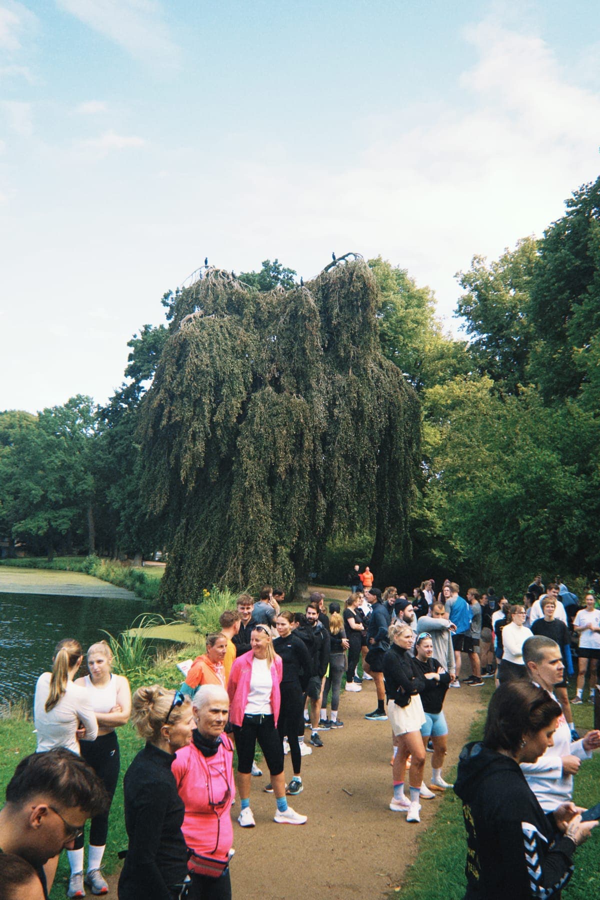 Viele Läufer*innen warten beim ersten Run & Rave auf dem Weg am Wasser auf den Start